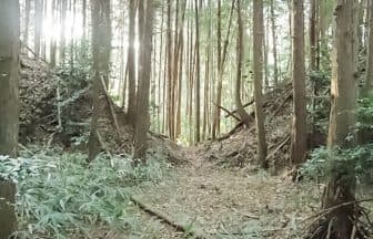 甲賀の中世城郭跡