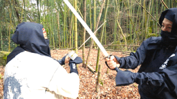 ダミーテキスト