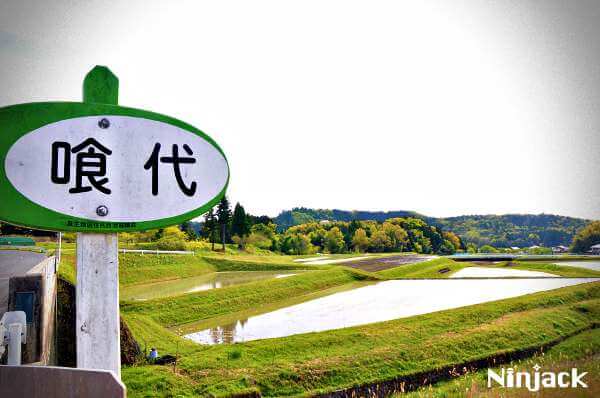 1.hojiro