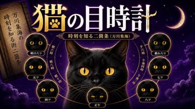 ダミーテキスト